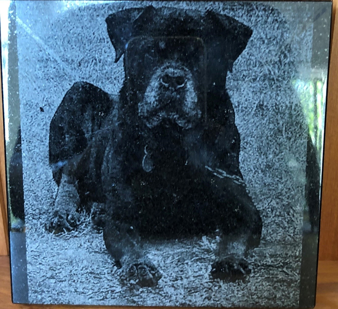 Pets Are Special. Honour Your Best Mate With A Customised Pet Memorial